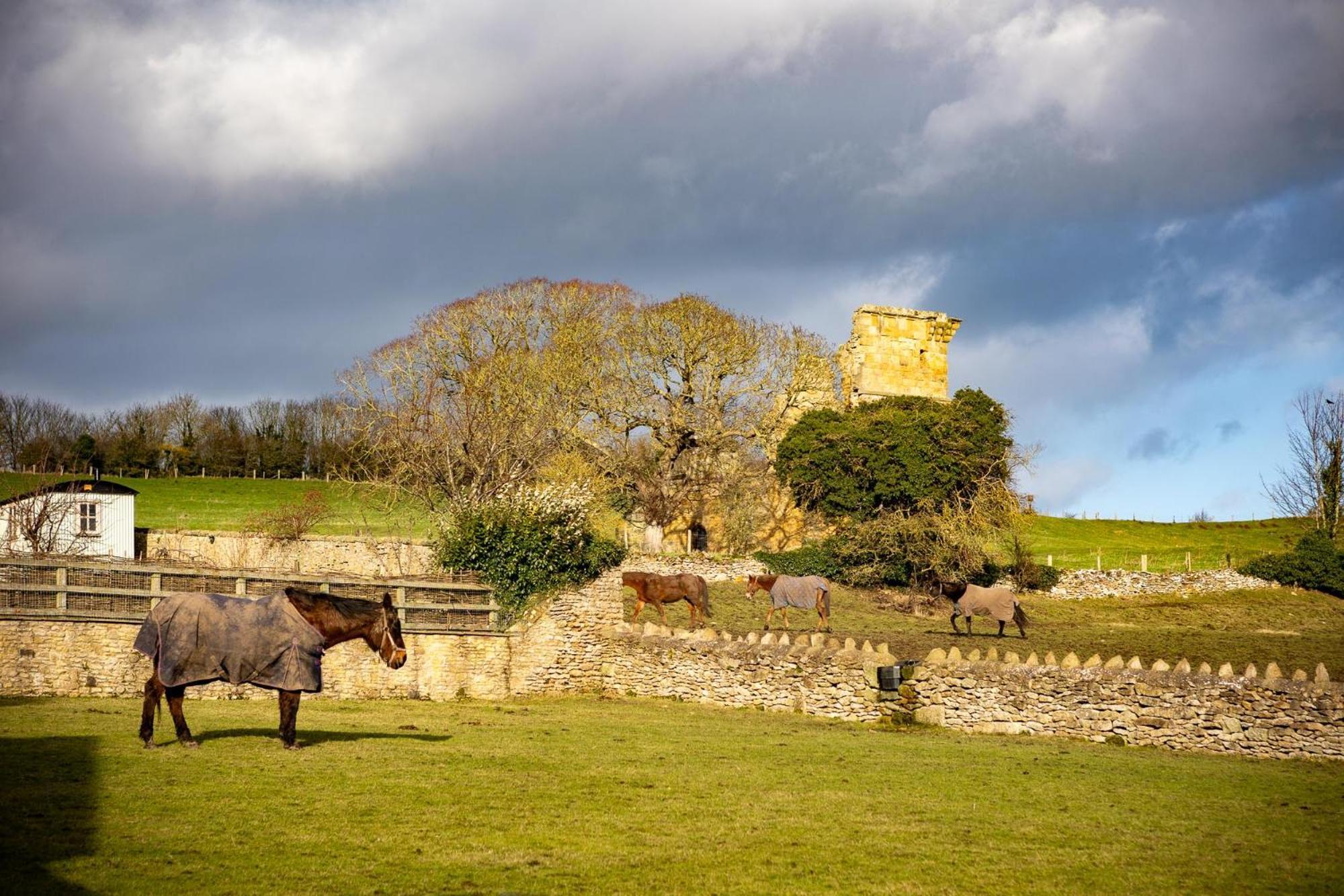 Yew Tree Cottage East Ayton Luaran gambar